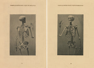 Pair of Skeleton Prints published in the early 1920s