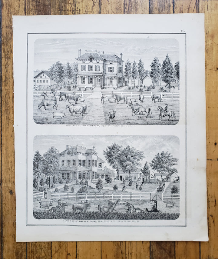 Antique Print of the Farm Residences of Robinson & Evans, 1873