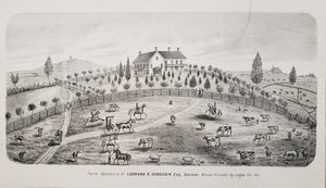 1873 Farm Residences of Scroggin & Fisher