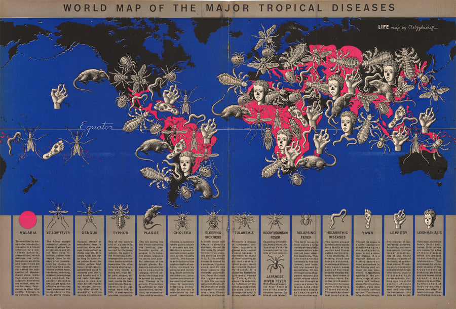 World Map of Major Tropical Diseases - Life Magazine, 1944
