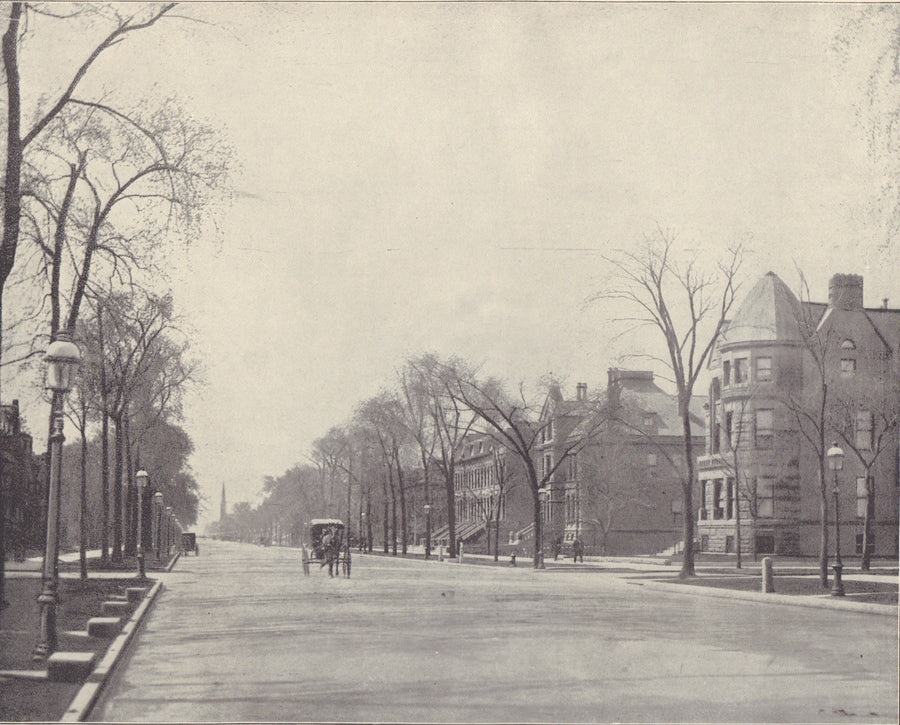 South Michigan Avenue, Chicago, 1895
