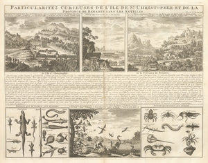 1715 Particularitez Curieuses de L’Ile de St. Christophle et de la Province de Bemarin dans les Antilles