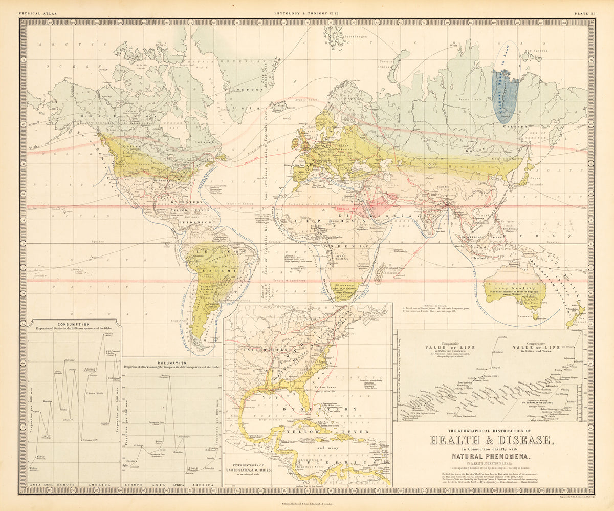 Antique Map of the World Showing Health & Disease 1856: nwcartographic ...