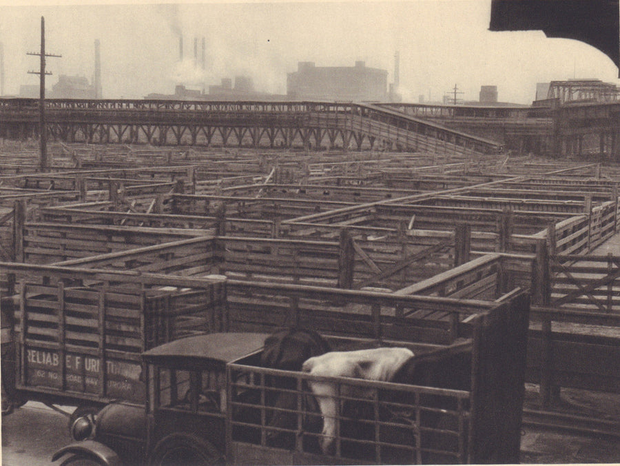 Chicago Stock Yards, 1930